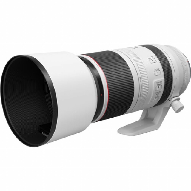 Canon Canon RF 100-500mm F4.5-7.1L IS USM