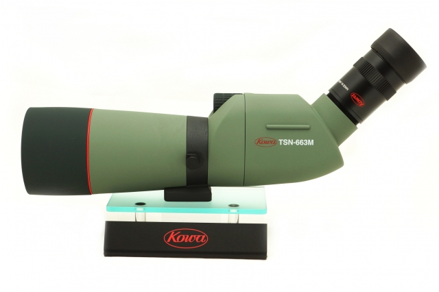 Kowa Kowa cannocchiale TSN-663 angolato - solo corpo