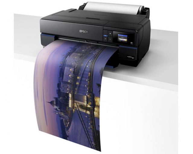 EPSON Epson SC-P800 paper unit