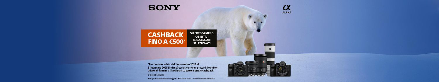 Sony Winter Cashback 2024